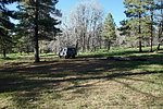 photo thumbnail #12