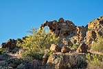 photo thumbnail #13
