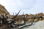 photo thumbnail #7