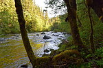 photo thumbnail #8