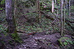 photo thumbnail #8