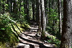 photo thumbnail #15