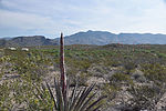 photo thumbnail #5
