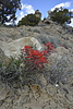 photo thumbnail #13