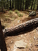 photo thumbnail #8