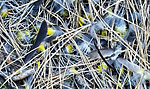 photo thumbnail #1