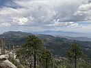 photo thumbnail #7