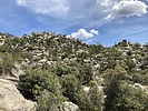 photo thumbnail #6