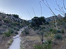 photo thumbnail #2