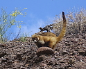 photo thumbnail #6
