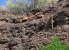 photo thumbnail #8