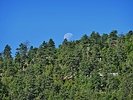 photo thumbnail #11