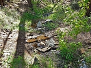 photo thumbnail #15