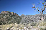 photo thumbnail #6