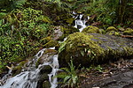 photo thumbnail #7