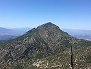 photo thumbnail #5