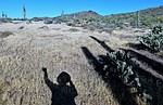 photo thumbnail #3