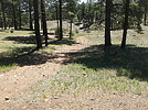 photo thumbnail #1
