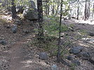 photo thumbnail #7