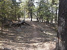photo thumbnail #9
