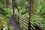 photo thumbnail #3