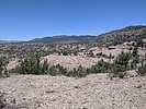 photo thumbnail #12