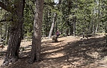photo thumbnail #2