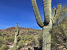 photo thumbnail #5