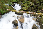 photo thumbnail #15