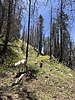 photo thumbnail #5