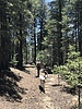 photo thumbnail #8