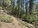 photo thumbnail #3