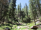 photo thumbnail #6