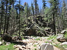 photo thumbnail #7