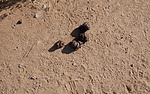 photo thumbnail #14