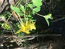 photo thumbnail #4