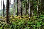 photo thumbnail #14