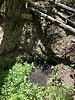 photo thumbnail #10