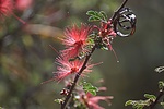 photo thumbnail #9