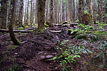 photo thumbnail #13