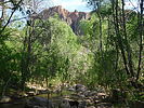 photo thumbnail #6