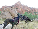 photo thumbnail #9