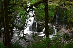 photo thumbnail #10