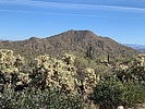 photo thumbnail #2