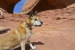 photo thumbnail #3