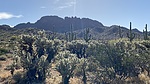 photo thumbnail #1
