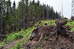 photo thumbnail #14