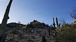 photo thumbnail #10