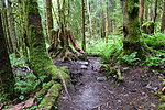photo thumbnail #14