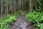 photo thumbnail #15